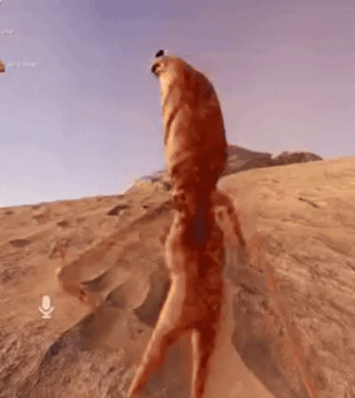 a picture or a content related to the section